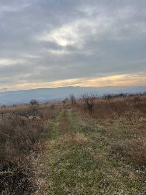 Продава се Парцел в с. Марково, Област Пловдив - 4439 кв.м за 13 €/кв.м - Снимка #1