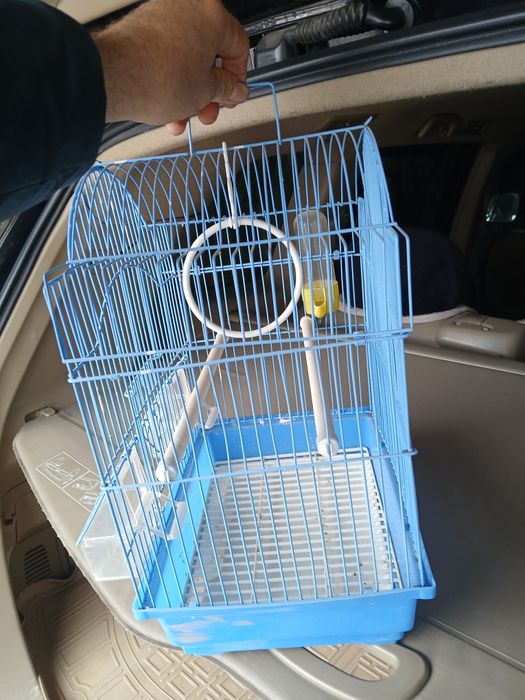 Клетка для птичек