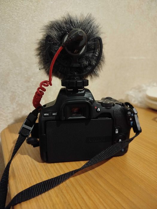Canon 250d + RodeMicro