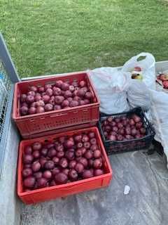 Vindem suc de mere/sfecla