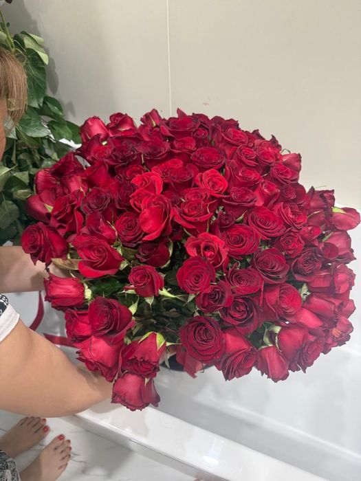 Цветы красные Роза