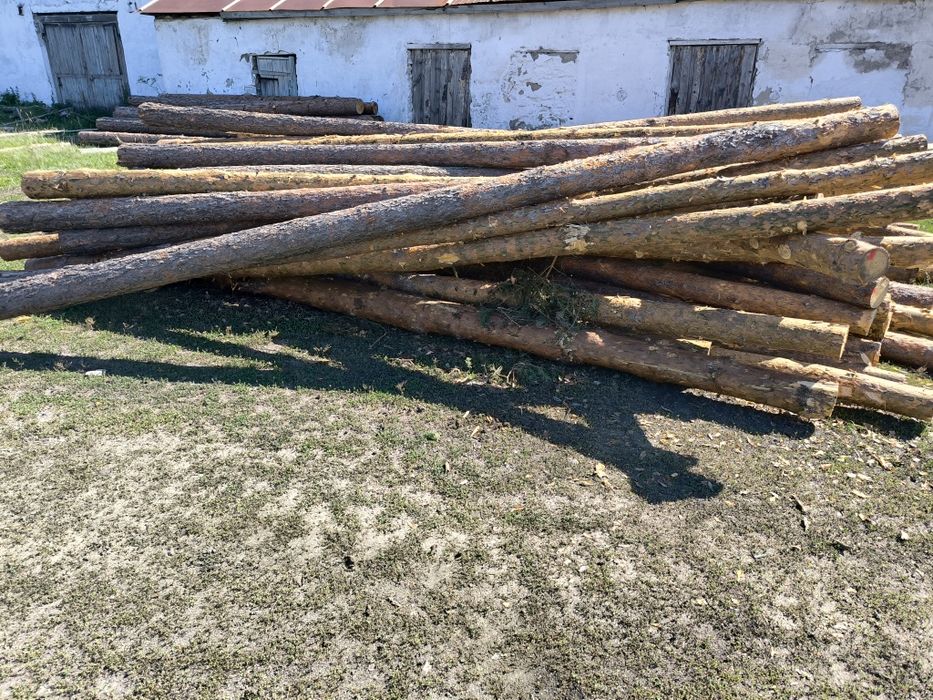 Подтоварник, деловой