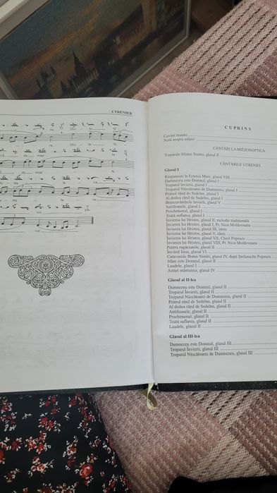 Utrenier de vânzare