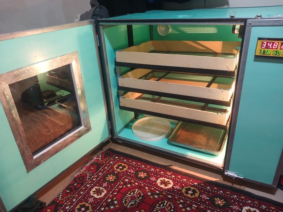 Инкубатор сатлады