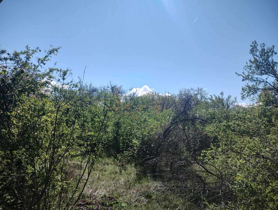 Продава се Парцел в София, Изток - 4600 кв.м за 3 €/кв.м - Снимка #3