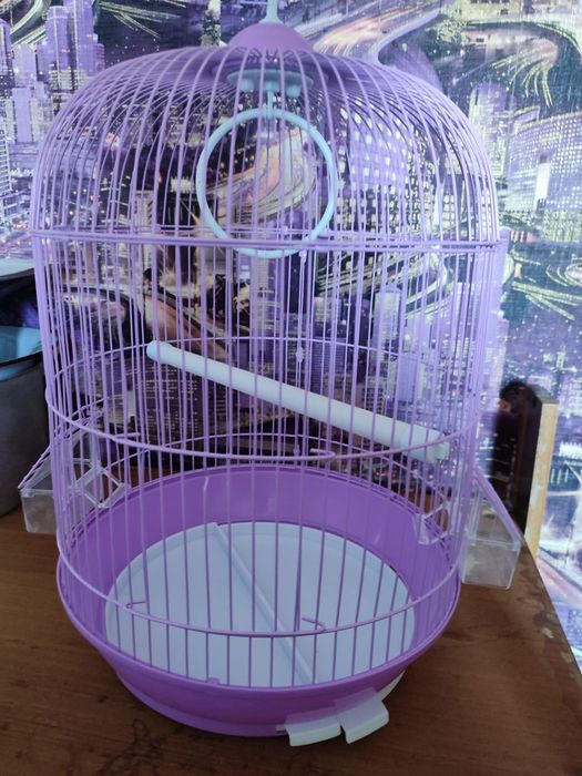 Клетка для попугая новая