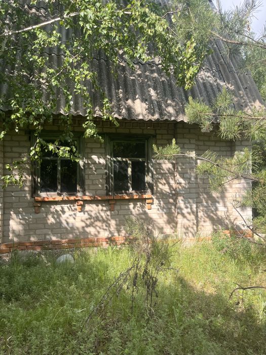 Продам дачу в с/т Борки в лесном массиве