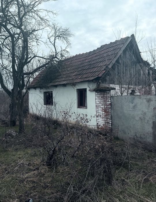 Casa de vanzare Rapsig judetul arad langa ineu