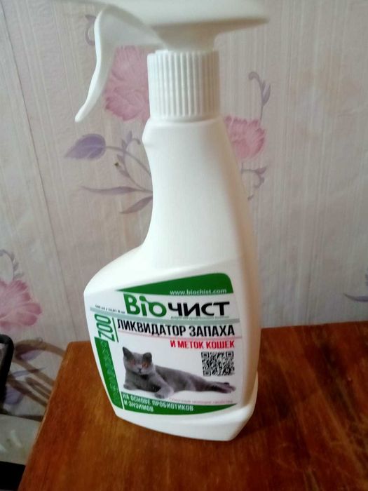 Милые котята ищут дом. Степногорск.