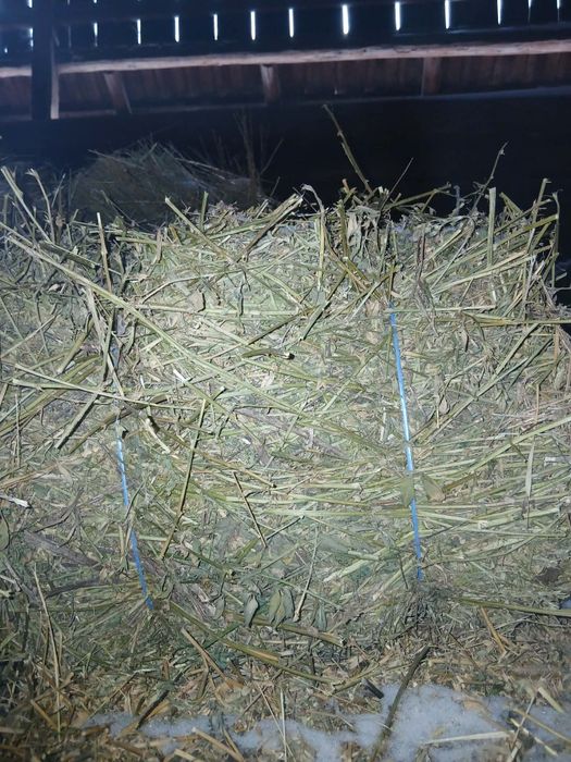 Baloți de fân și lucernă de bună calitate, de vânzare