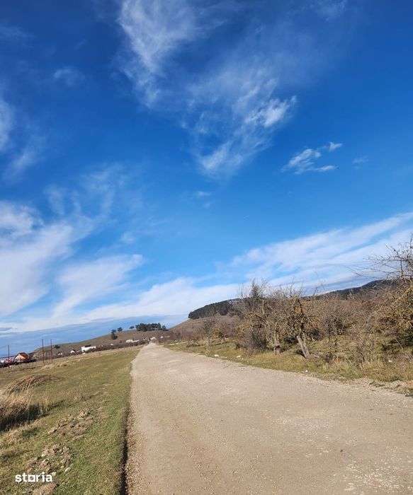 Teren in suprafata 358 mp in Sanpetru livada, strada Ciresului!