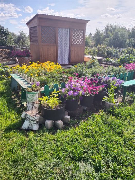 Продам дачный участок общество "Ромашка"