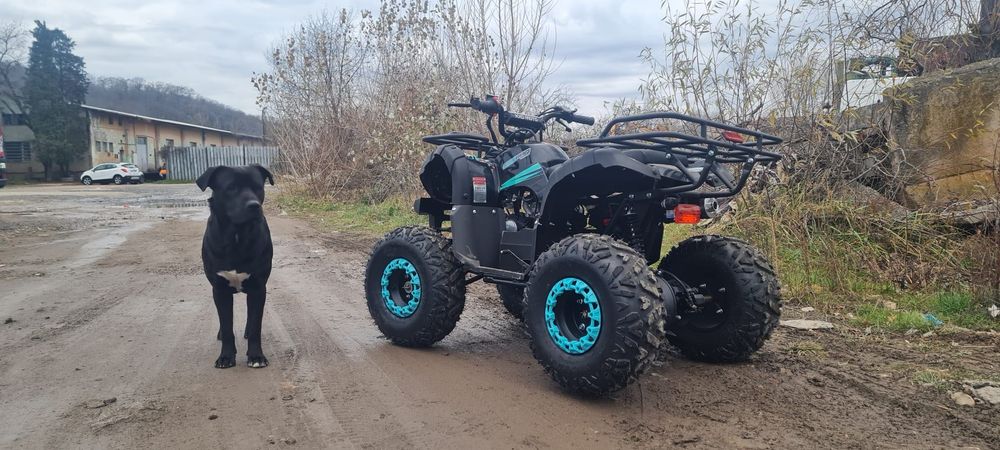 Atv 125 CC KXD PRO Germany Nou cu garantie rotile pe 8 inch