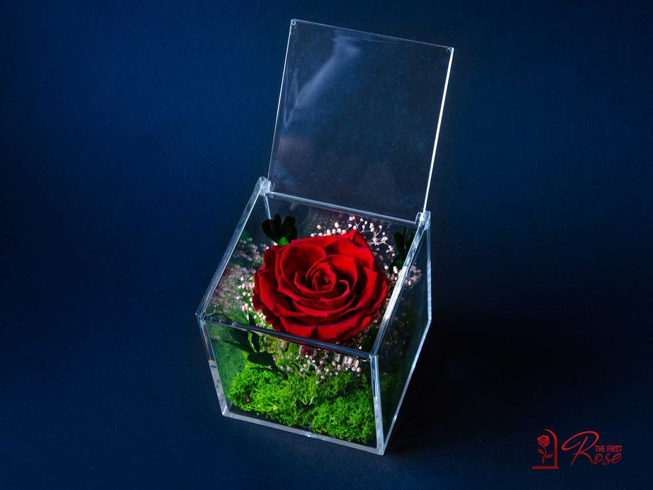 Истинска Вечна Роза в Кутия / Оригинален и Стилен Подарък за Жена