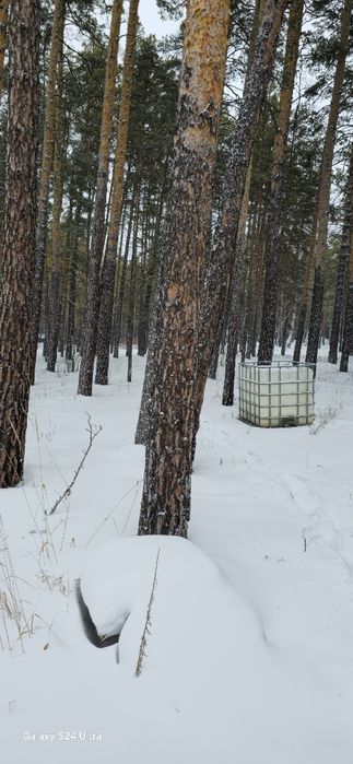 Гостевой дом ( возле Rixos Borovoe]