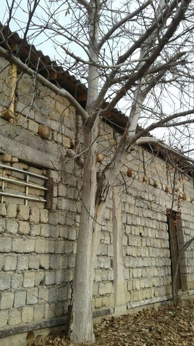 Продаётся дрова.