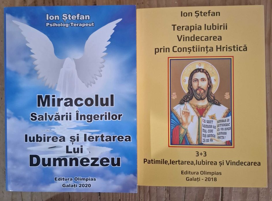 6 carti psihoterapeut Stefan Ion, Miracolul salvarii ingerilor