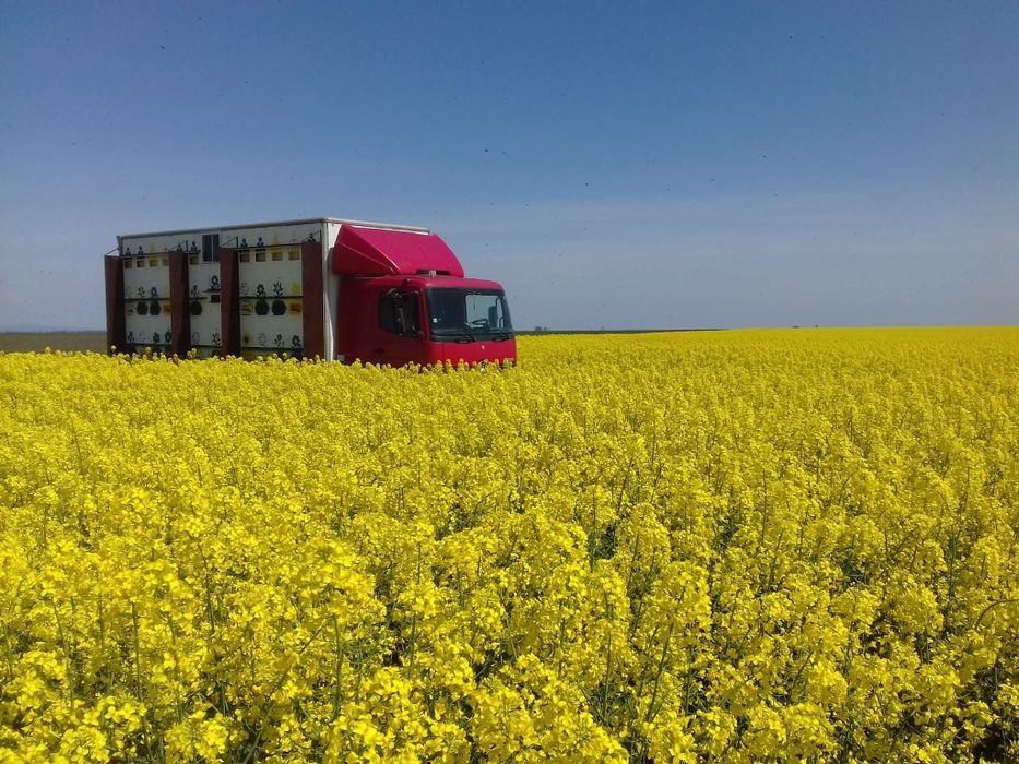 Camion apicol Mercedes
