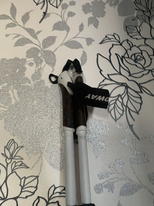 Торг на месте лыжные палки