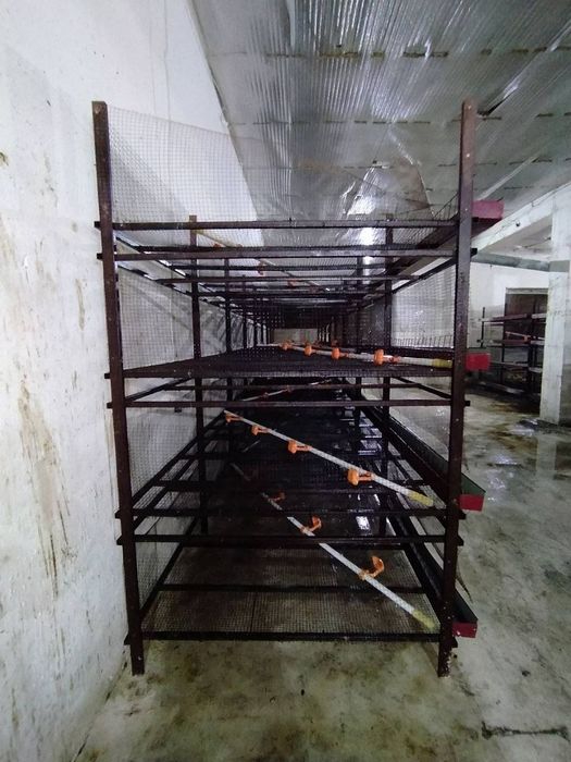 Клетка Для бройлеров