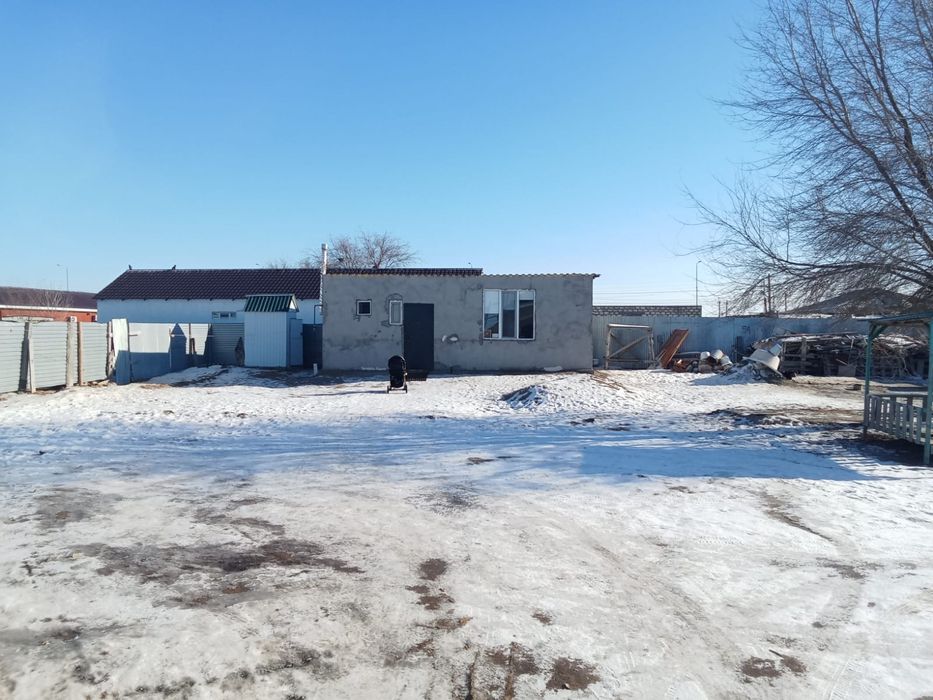 Дом  Кызыл балык