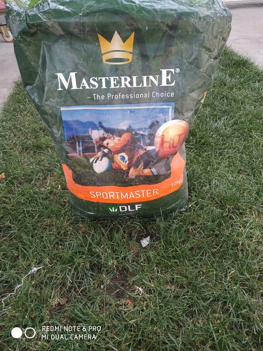 Газон уруг 120000