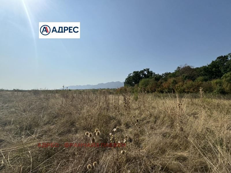 Продава се Парцел в с. Нефела, Област Враца - 8000 кв.м за 7 €/кв.м - Снимка #3