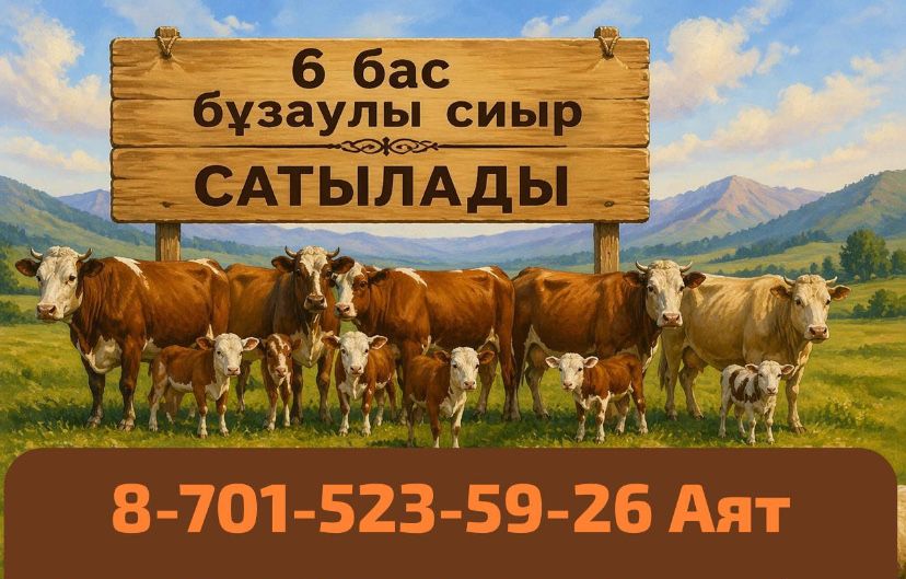 6 бас бұзаулы сиыр сатылады