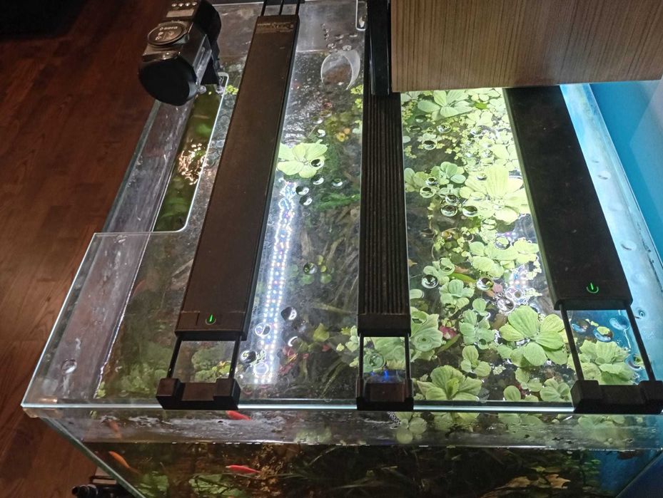 Acvariu 250 L ClearGlass si accesorii