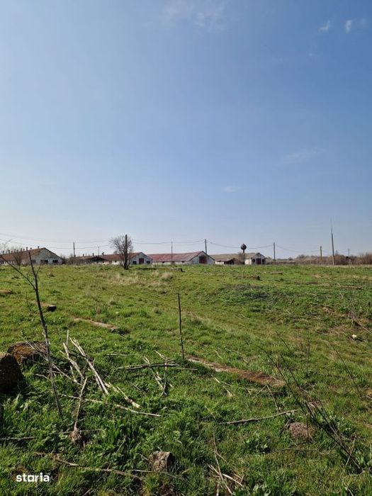 Ferma de vanzare 8 ha – Bals, judetul Olt
