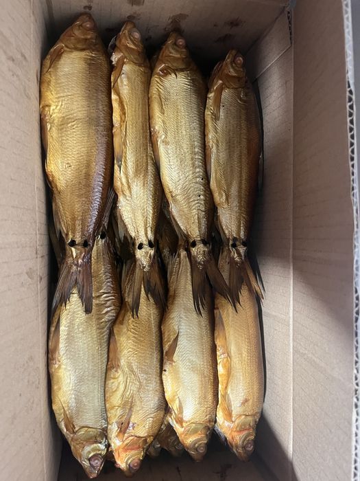 Рыба хк гк вялка