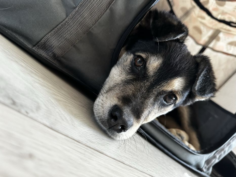 Малышка ищет любящую семью