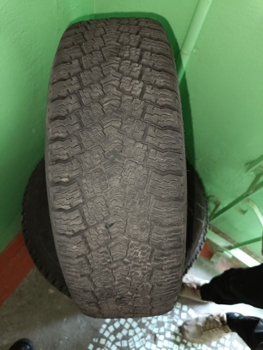 Зимние шины belshina