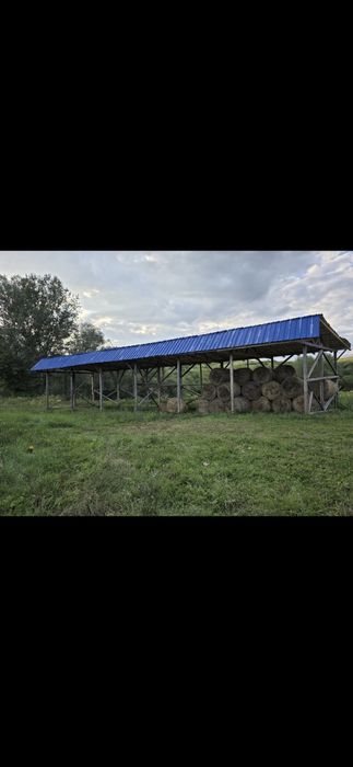 Baloti fan sau lucerna rotunzi min 40.Drept.500.pomi fructiferi Cires.