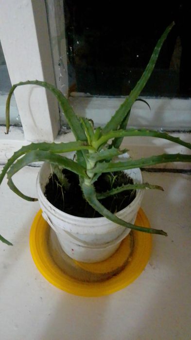 Продам продам...