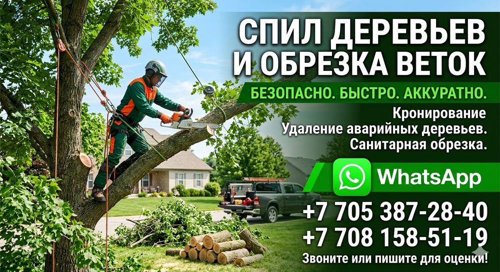 Спил обрезка подрезать дерево