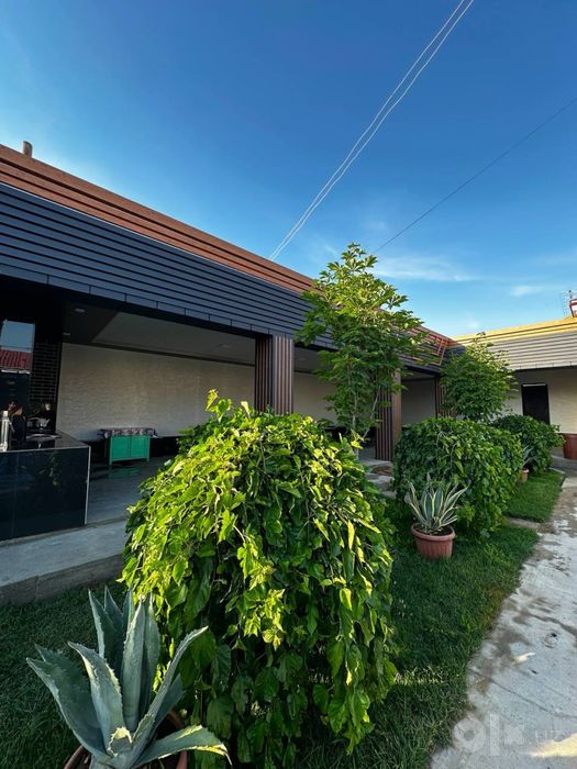 Dacha priroda super narxda ulgurib qolila