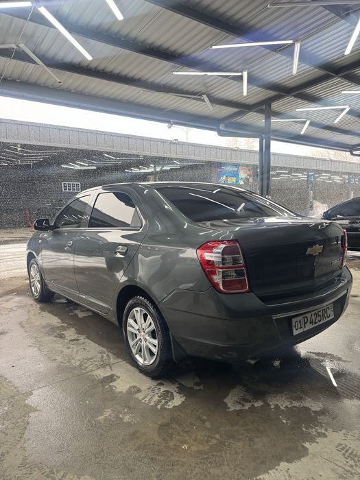 2024 Yil Kobalat 4 Aftamat Kraska Toza 4 Pazitsa