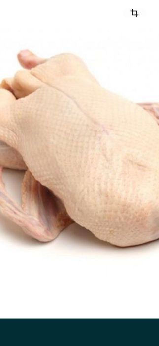 Тушки гусиные хорошие