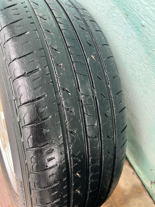 Торус жагдай жаксы