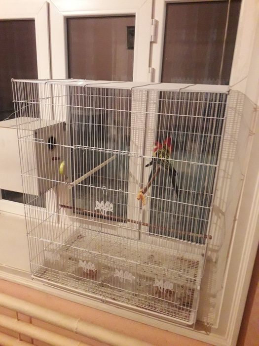 Assalomu aleykum Razella sotiladi aleykum Razella sotiladi oladiganla