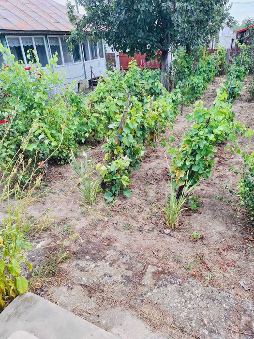 casa de vanzare in comuna Verguleasa, sat Verguleasa