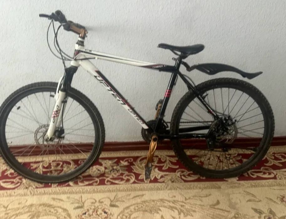 Velosipet kattalar uchun