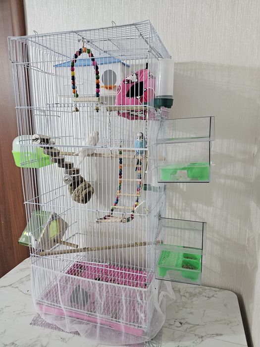 Клетка для попугаев