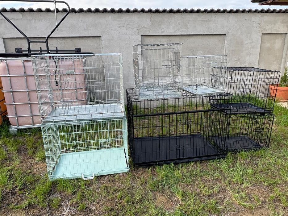 Vând cuști transport