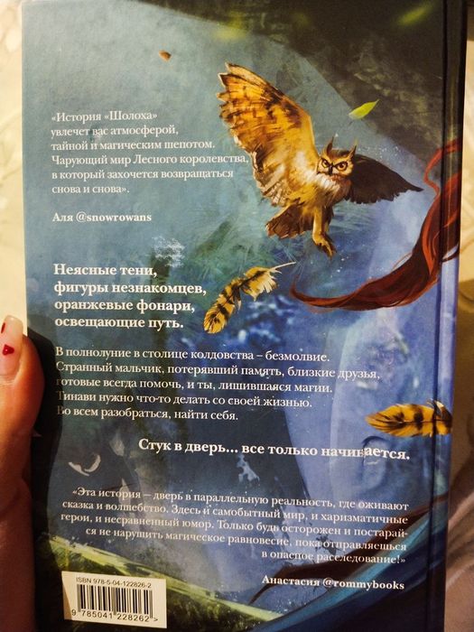 Шолох. Теневые блики. Книга