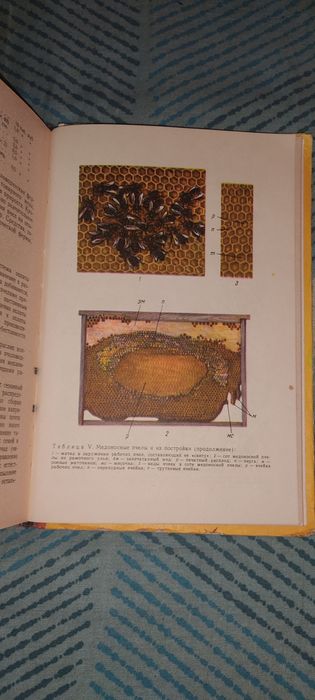 Учебник пчеловода