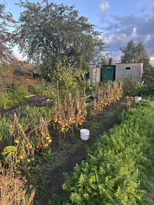 Продам дачу общество Борки