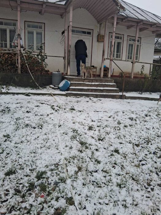 Casa de vanzare cu 7500 mp teren