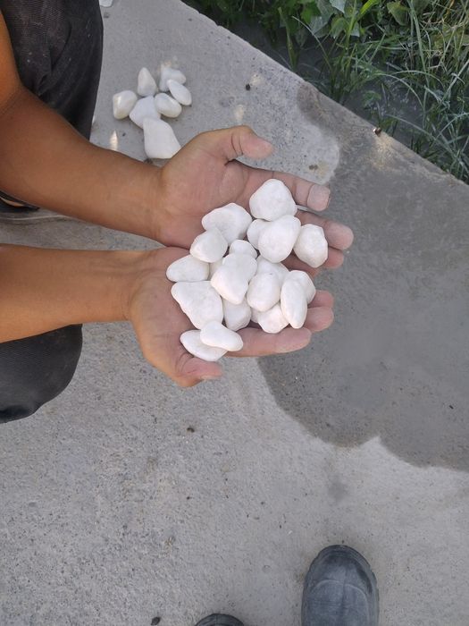 Цветнийи галка камен